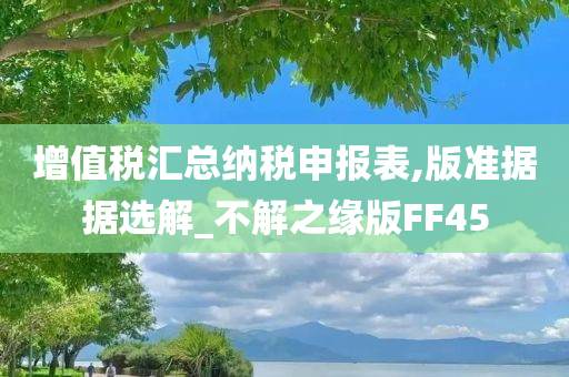 增值税汇总纳税申报表,版准据据选解_不解之缘版FF45