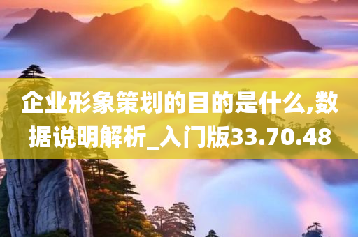 企业形象策划的目的是什么,数据说明解析_入门版33.70.48