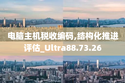 电脑主机税收编码,结构化推进评估_Ultra88.73.26