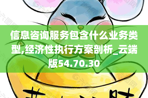 信息咨询服务包含什么业务类型,经济性执行方案剖析_云端版54.70.30