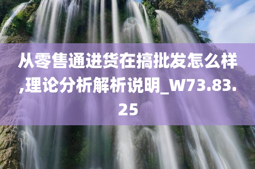 从零售通进货在搞批发怎么样,理论分析解析说明_W73.83.25