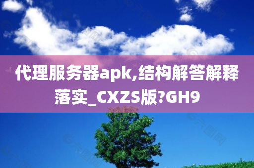 代理服务器apk,结构解答解释落实_CXZS版?GH9