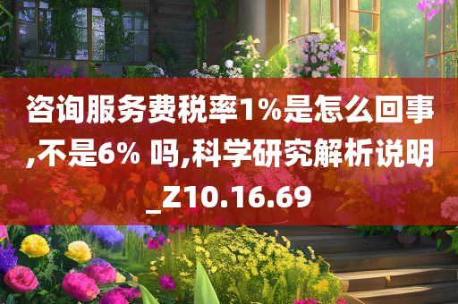 咨询服务费税率1%是怎么回事,不是6% 吗,科学研究解析说明_Z10.16.69