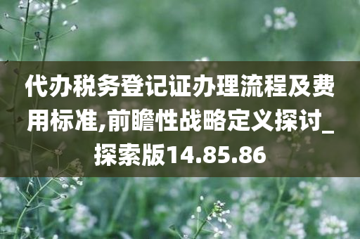 代办税务登记证办理流程及费用标准,前瞻性战略定义探讨_探索版14.85.86