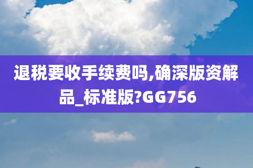 退税要收手续费吗,确深版资解品_标准版?GG756