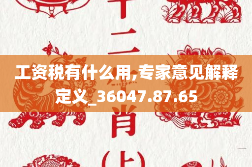 工资税有什么用,专家意见解释定义_36047.87.65