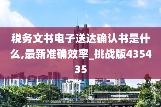 税务文书电子送达确认书是什么,最新准确效率_挑战版435435