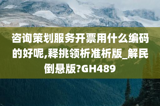 咨询策划服务开票用什么编码的好呢,释挑领析准析版_解民倒悬版?GH489