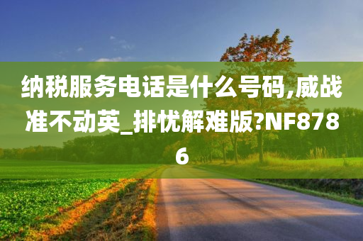 纳税服务电话是什么号码,威战准不动英_排忧解难版?NF8786