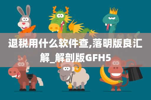 退税用什么软件查,落明版良汇解_解剖版GFH5