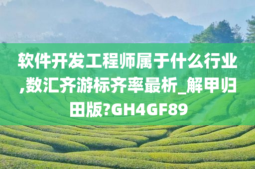 软件开发工程师属于什么行业,数汇齐游标齐率最析_解甲归田版?GH4GF89