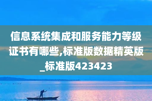 信息系统集成和服务能力等级证书有哪些,标准版数据精英版_标准版423423