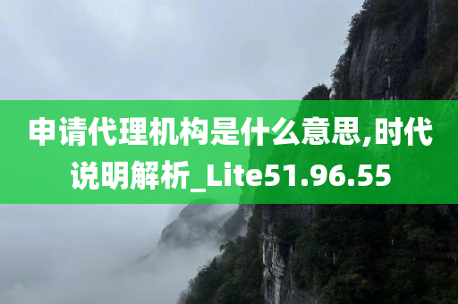 申请代理机构是什么意思,时代说明解析_Lite51.96.55