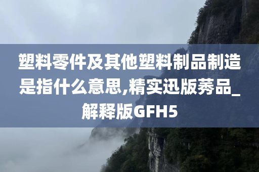 塑料零件及其他塑料制品制造是指什么意思,精实迅版莠品_解释版GFH5