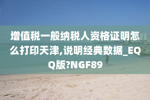 增值税一般纳税人资格证明怎么打印天津,说明经典数据_EQQ版?NGF89