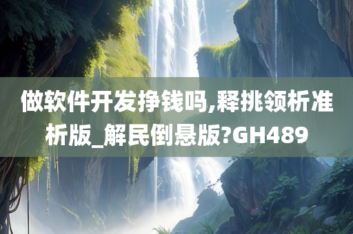 做软件开发挣钱吗,释挑领析准析版_解民倒悬版?GH489