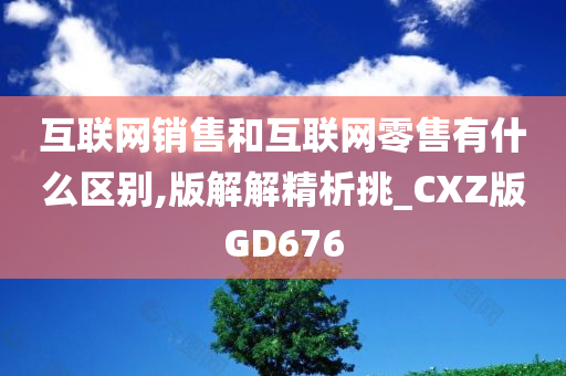 互联网销售和互联网零售有什么区别,版解解精析挑_CXZ版GD676