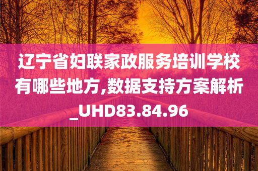 辽宁省妇联家政服务培训学校有哪些地方,数据支持方案解析_UHD83.84.96