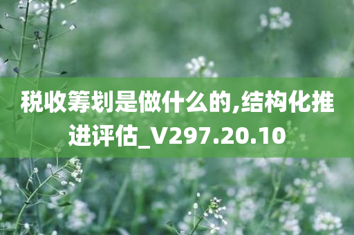 税收筹划是做什么的,结构化推进评估_V297.20.10