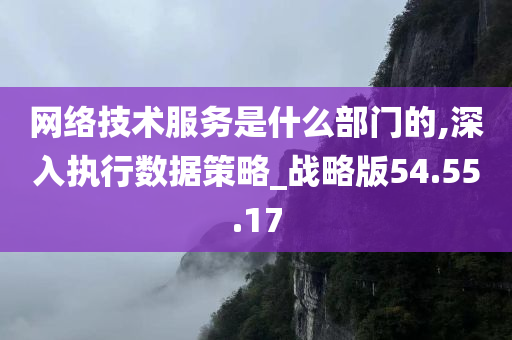 网络技术服务是什么部门的,深入执行数据策略_战略版54.55.17