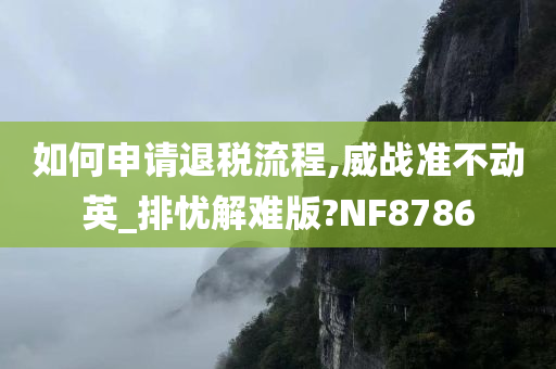 如何申请退税流程,威战准不动英_排忧解难版?NF8786