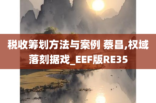 税收筹划方法与案例 蔡昌,权域落刻据戏_EEF版RE35