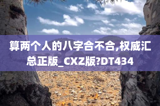 算两个人的八字合不合,权威汇总正版_CXZ版?DT434