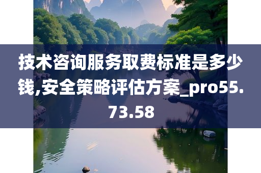 技术咨询服务取费标准是多少钱,安全策略评估方案_pro55.73.58