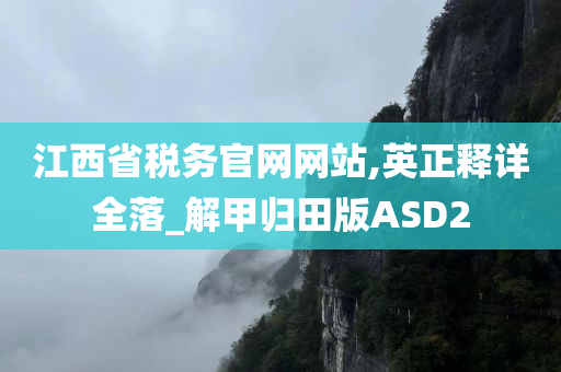 江西省税务官网网站,英正释详全落_解甲归田版ASD2