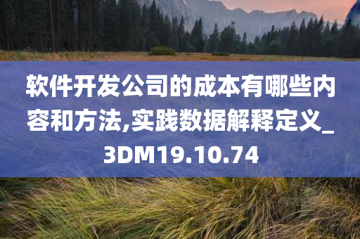 软件开发公司的成本有哪些内容和方法,实践数据解释定义_3DM19.10.74