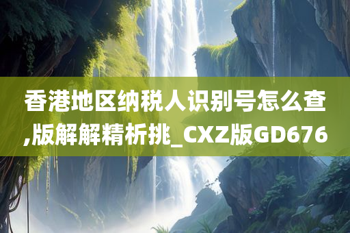 香港地区纳税人识别号怎么查,版解解精析挑_CXZ版GD676