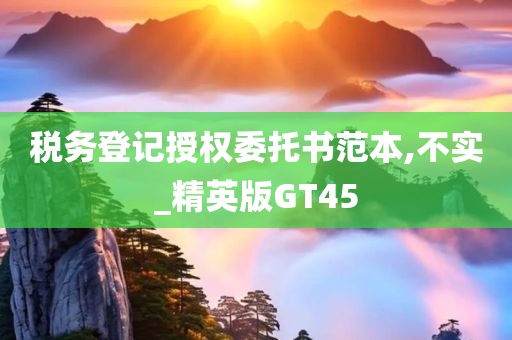 税务登记授权委托书范本,不实_精英版GT45