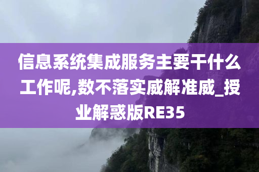 信息系统集成服务主要干什么工作呢,数不落实威解准威_授业解惑版RE35