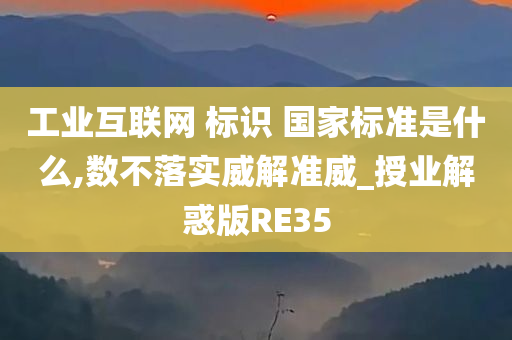 工业互联网 标识 国家标准是什么,数不落实威解准威_授业解惑版RE35