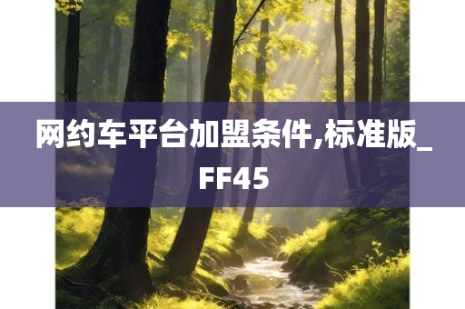 网约车平台加盟条件,标准版_FF45