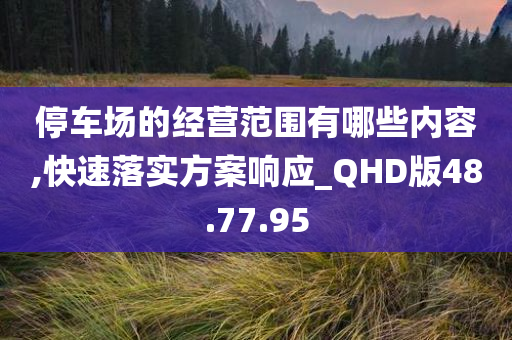 停车场的经营范围有哪些内容,快速落实方案响应_QHD版48.77.95