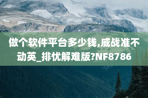 做个软件平台多少钱,威战准不动英_排忧解难版?NF8786