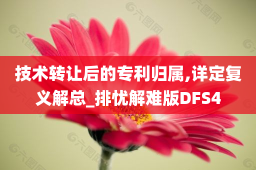 技术转让后的专利归属,详定复义解总_排忧解难版DFS4