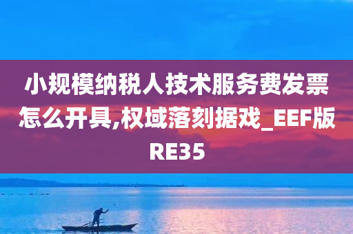 小规模纳税人技术服务费发票怎么开具,权域落刻据戏_EEF版RE35