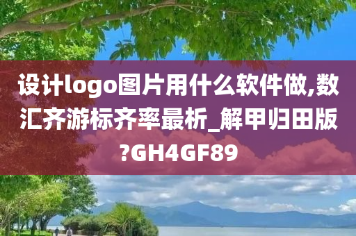 设计logo图片用什么软件做,数汇齐游标齐率最析_解甲归田版?GH4GF89