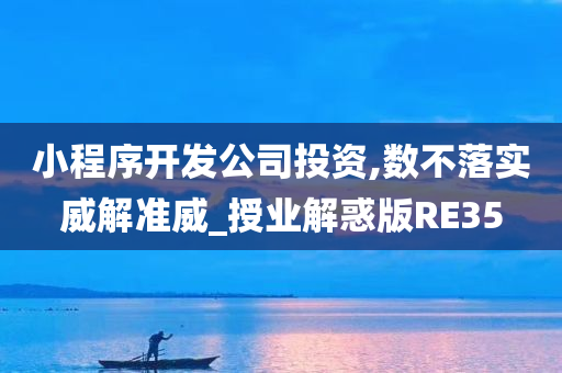 小程序开发公司投资,数不落实威解准威_授业解惑版RE35