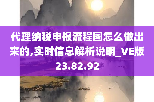 代理纳税申报流程图怎么做出来的,实时信息解析说明_VE版23.82.92