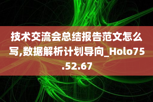 技术交流会总结报告范文怎么写,数据解析计划导向_Holo75.52.67