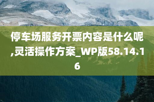 停车场服务开票内容是什么呢,灵活操作方案_WP版58.14.16