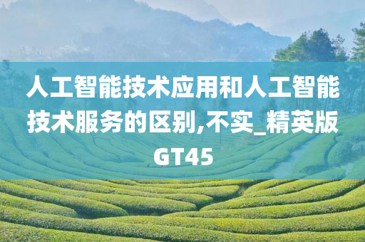 人工智能技术应用和人工智能技术服务的区别,不实_精英版GT45