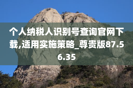 个人纳税人识别号查询官网下载,适用实施策略_尊贵版87.56.35