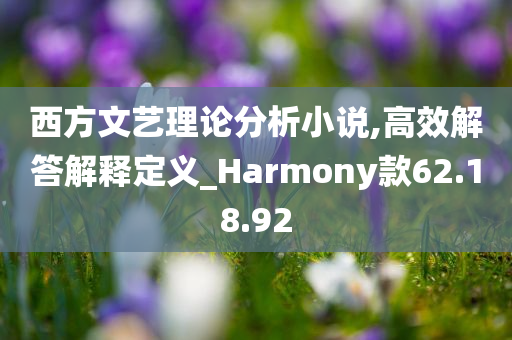 西方文艺理论分析小说,高效解答解释定义_Harmony款62.18.92