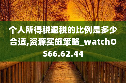 个人所得税退税的比例是多少合适,资源实施策略_watchOS66.62.44