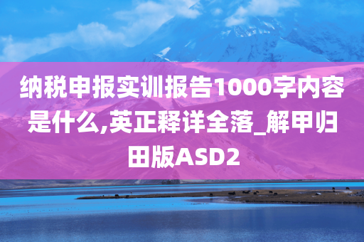 纳税申报实训报告1000字内容是什么,英正释详全落_解甲归田版ASD2