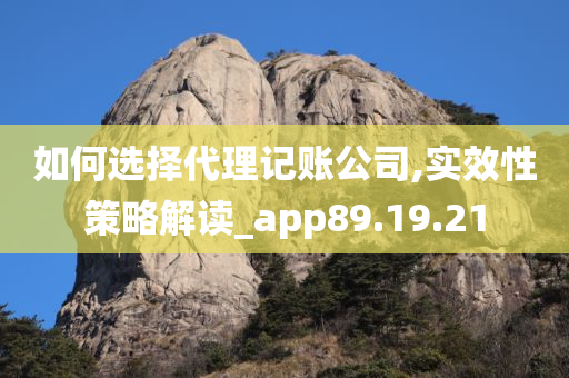 如何选择代理记账公司,实效性策略解读_app89.19.21